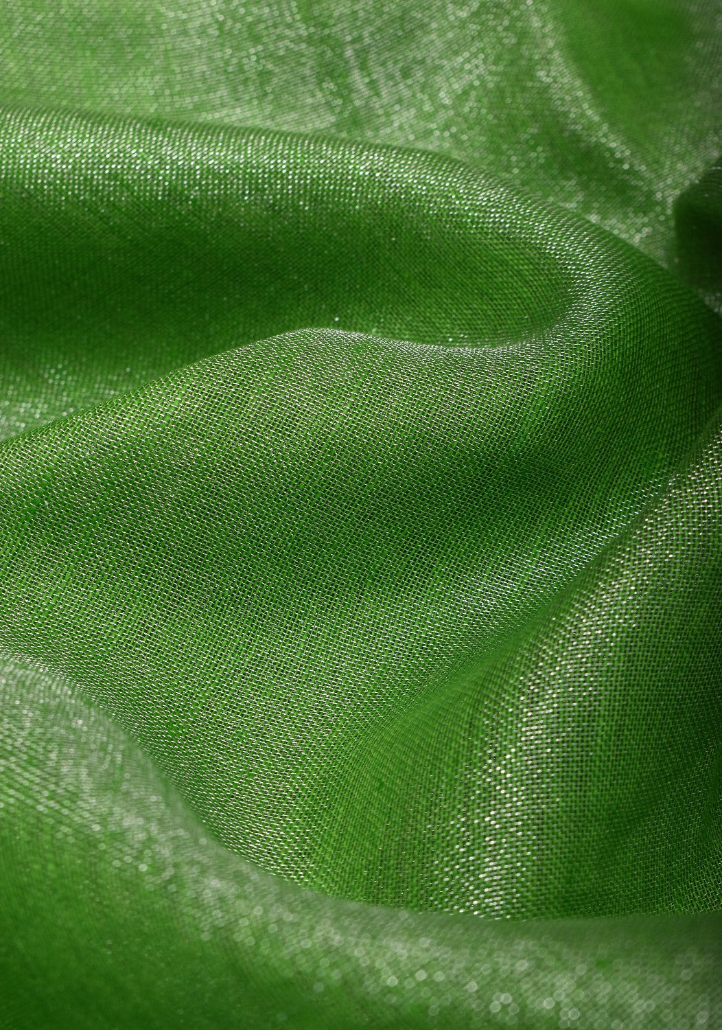 Green Silver Tissue Linen Saree with Silver Ribbed Zari Borders and Panel Pallu